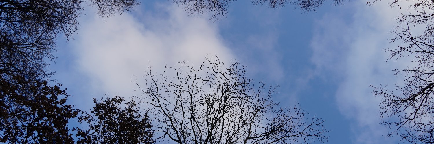 aayuzzzz's profile banner image