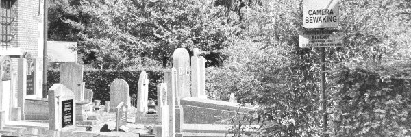 datapanikorg Profile Banner