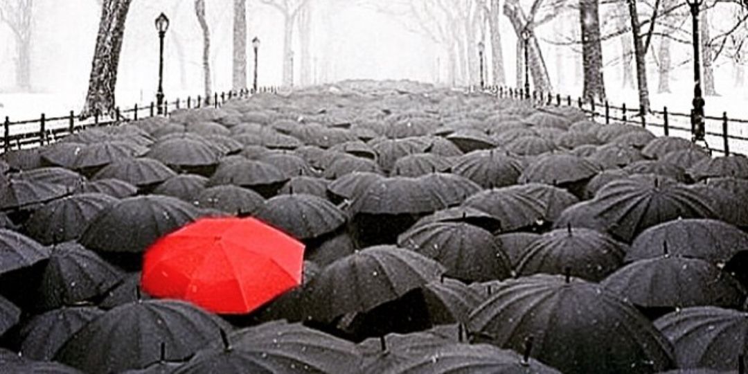 Heel NV🇨🇻🌍 banner