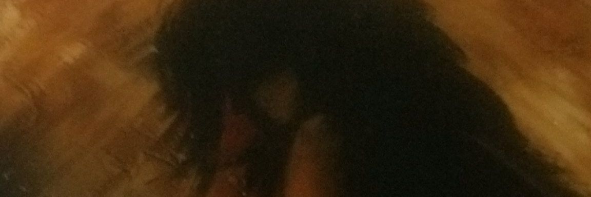 classylassy1's profile banner image
