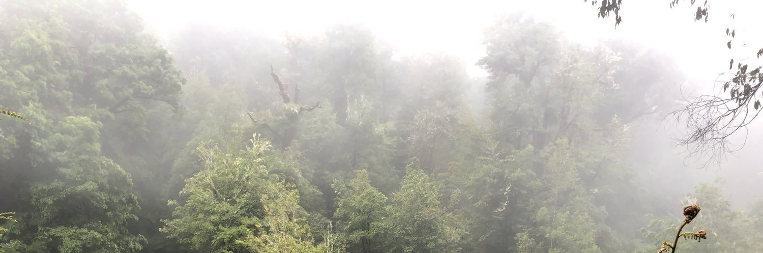 petemoc68's profile banner image