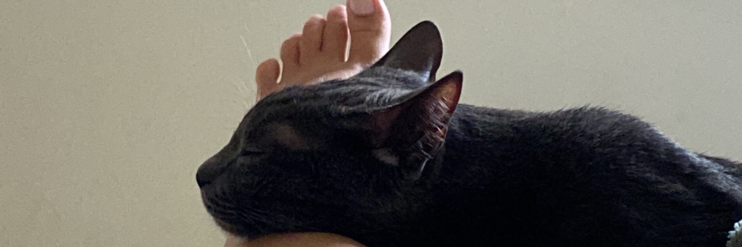 Bebalada's profile banner image