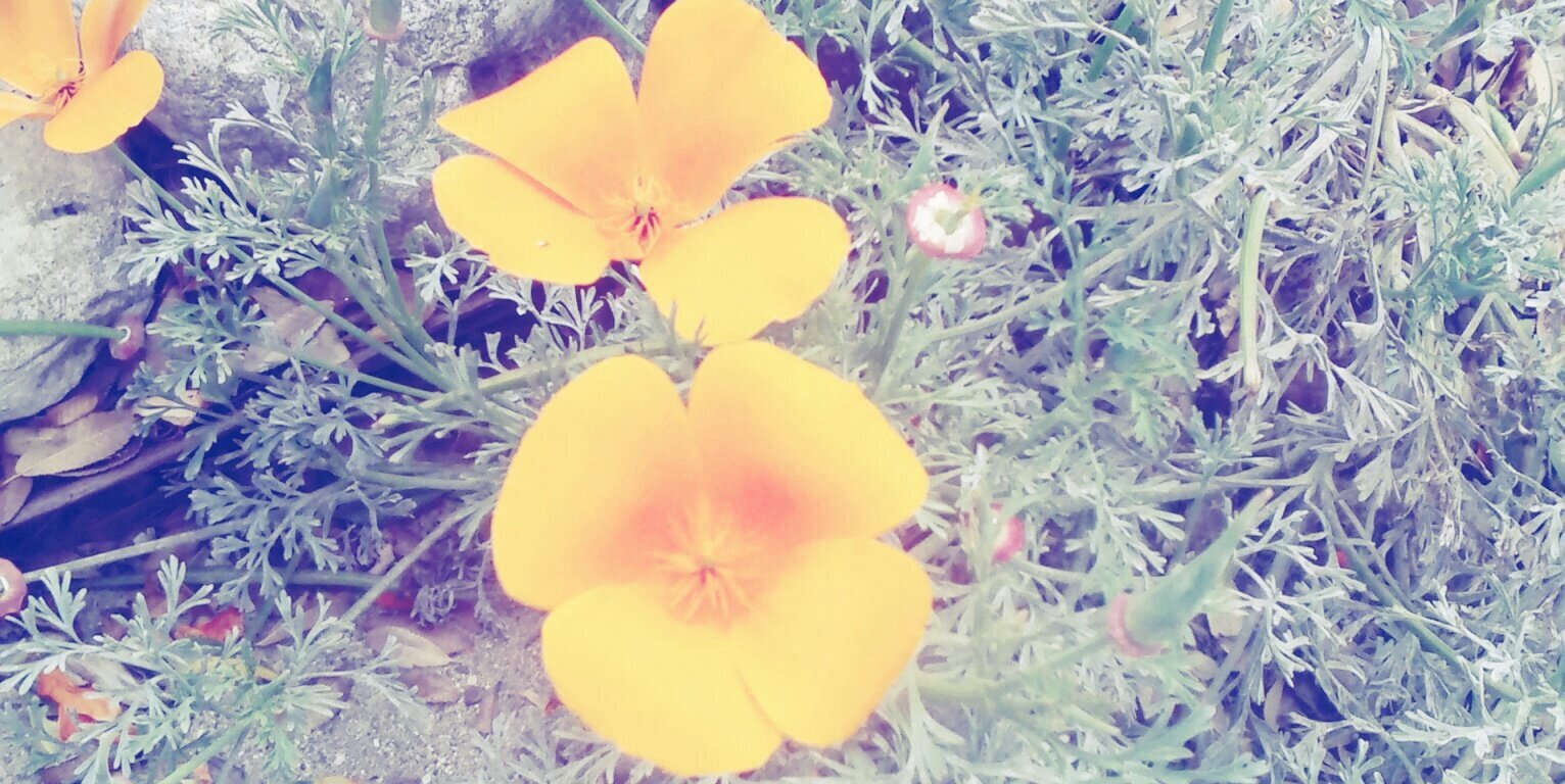 cristaaa_m20's profile banner image