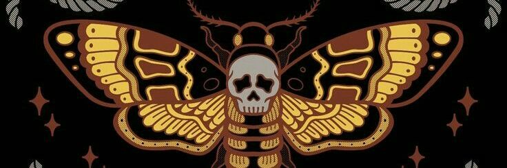 ccam96's profile banner image