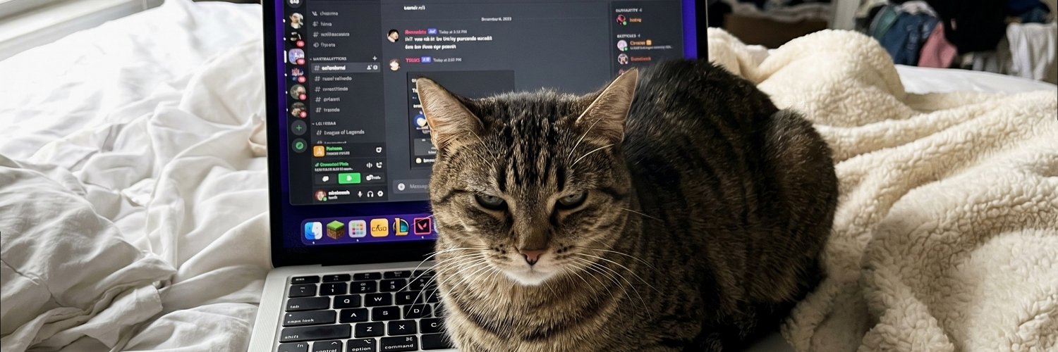 electra_doll's profile banner image