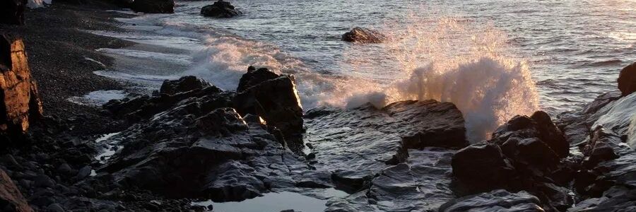 sever_led's profile banner image