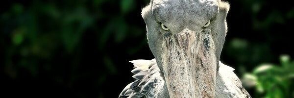 mahan_ab2000's profile banner image
