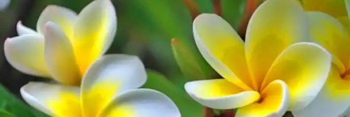 VivekTI007's profile banner image
