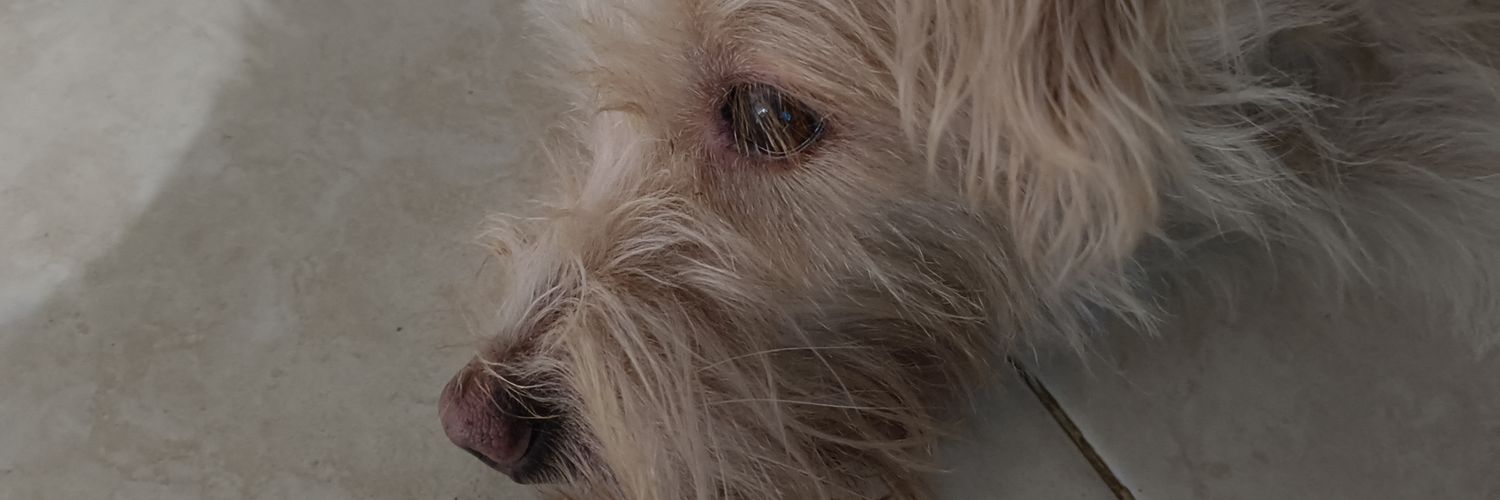 DanielStardust's profile banner image