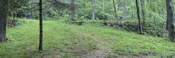 alissansmith Profile Banner