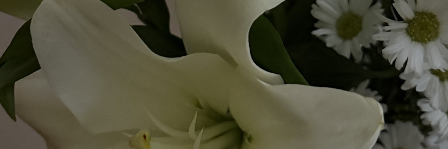 monrasgado's profile banner image