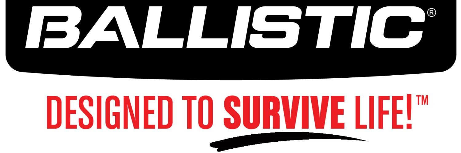 BallisticBrain's profile banner image