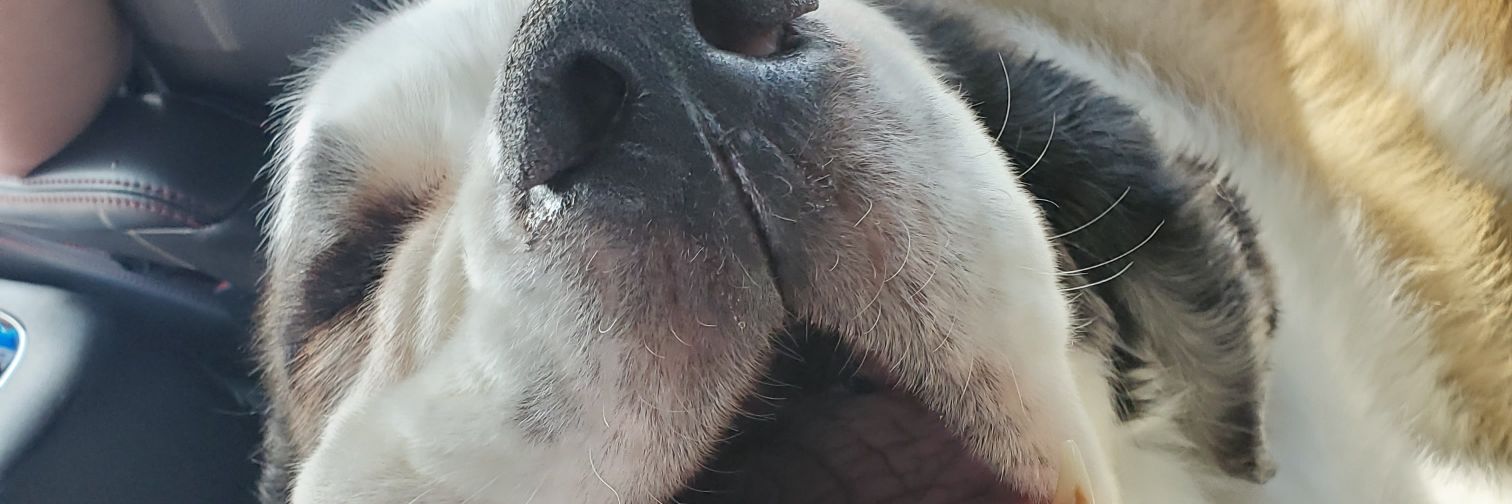 Bo5502's profile banner image
