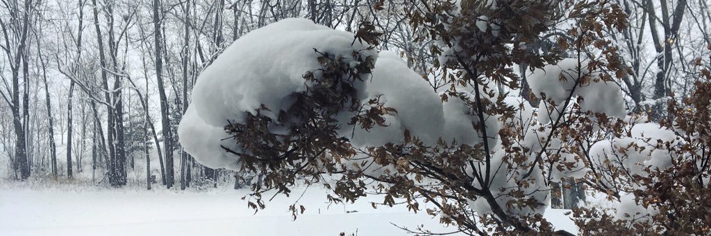 rayquill's profile banner image
