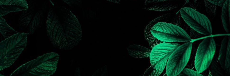 NassRudyy's profile banner image