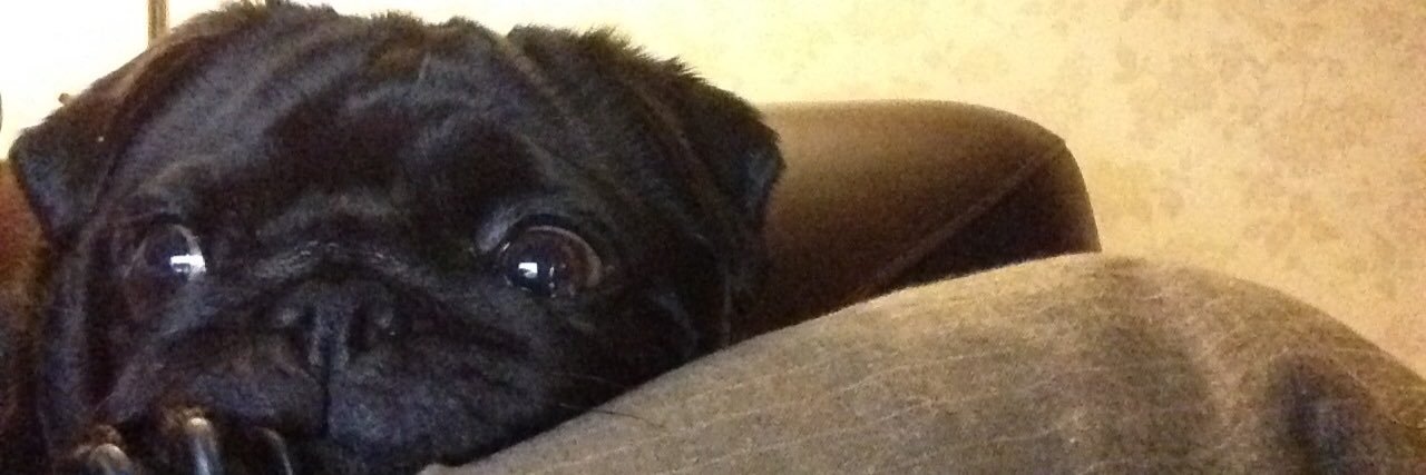 Samantha Livingstone banner