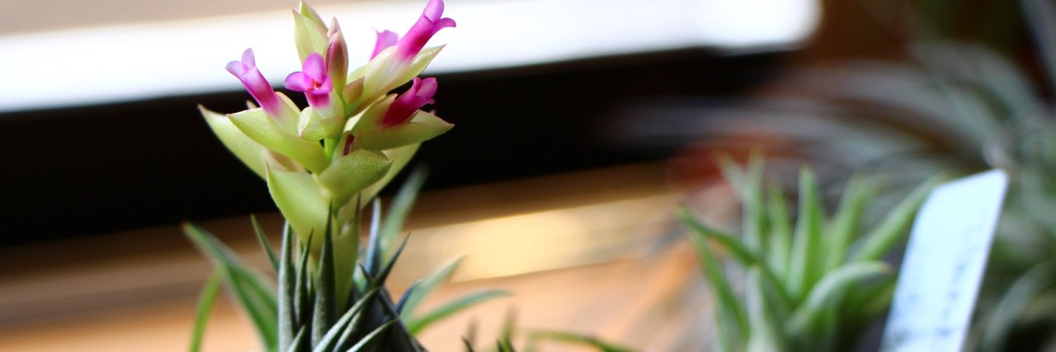 RM1437's profile banner image