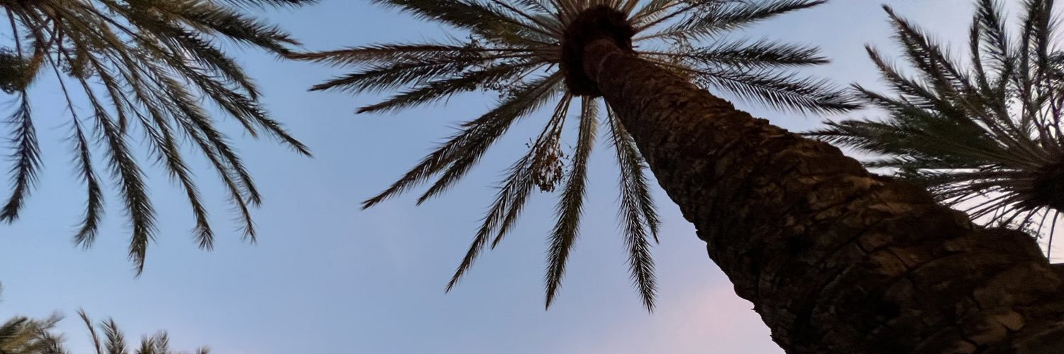 MrCapTv's profile banner image