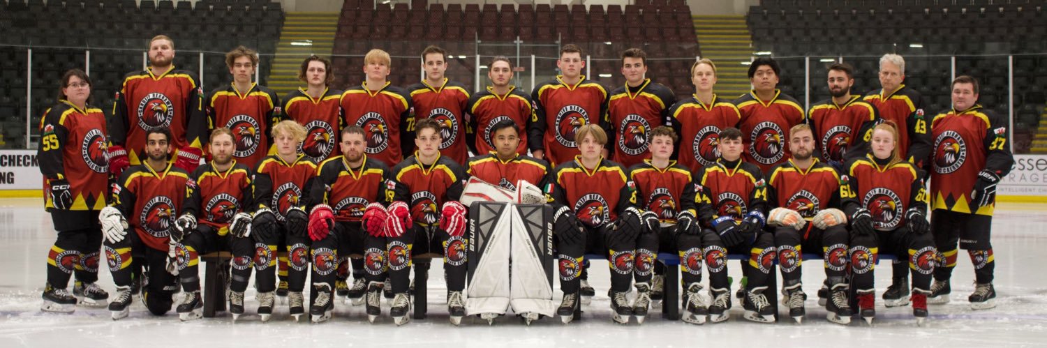 Cardiff Redhawks banner