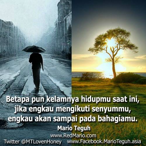 dpbbm1's profile banner image