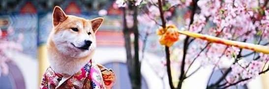 andy_princess19's profile banner image