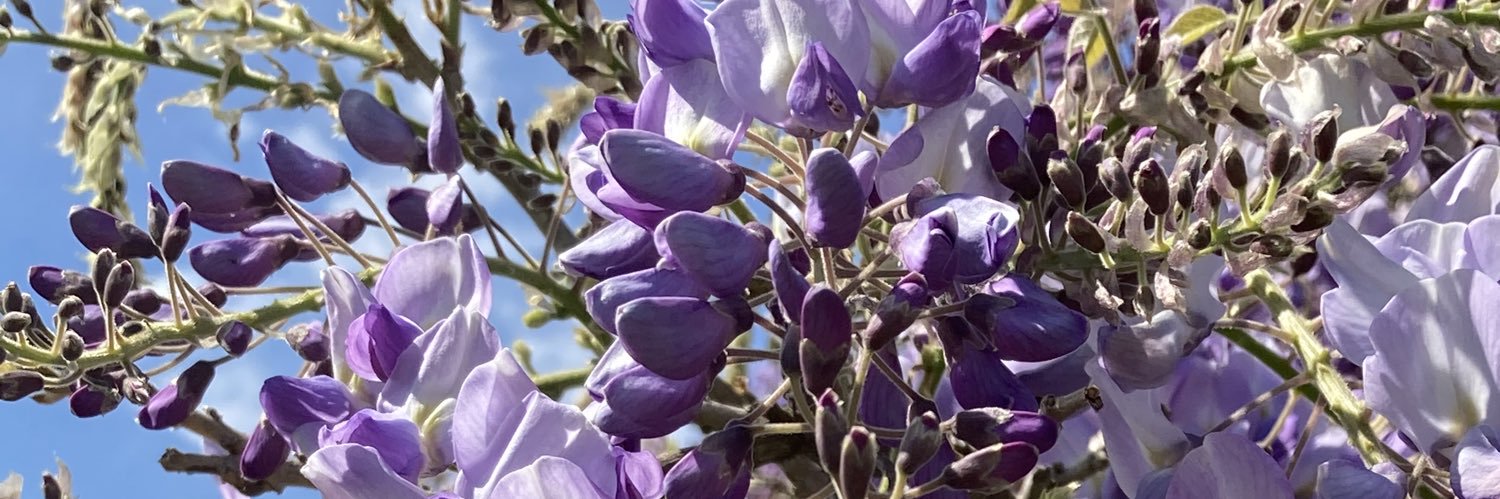 Jonathan M. Seiki, A-CSM, A-CSPO, PMI-CDP banner