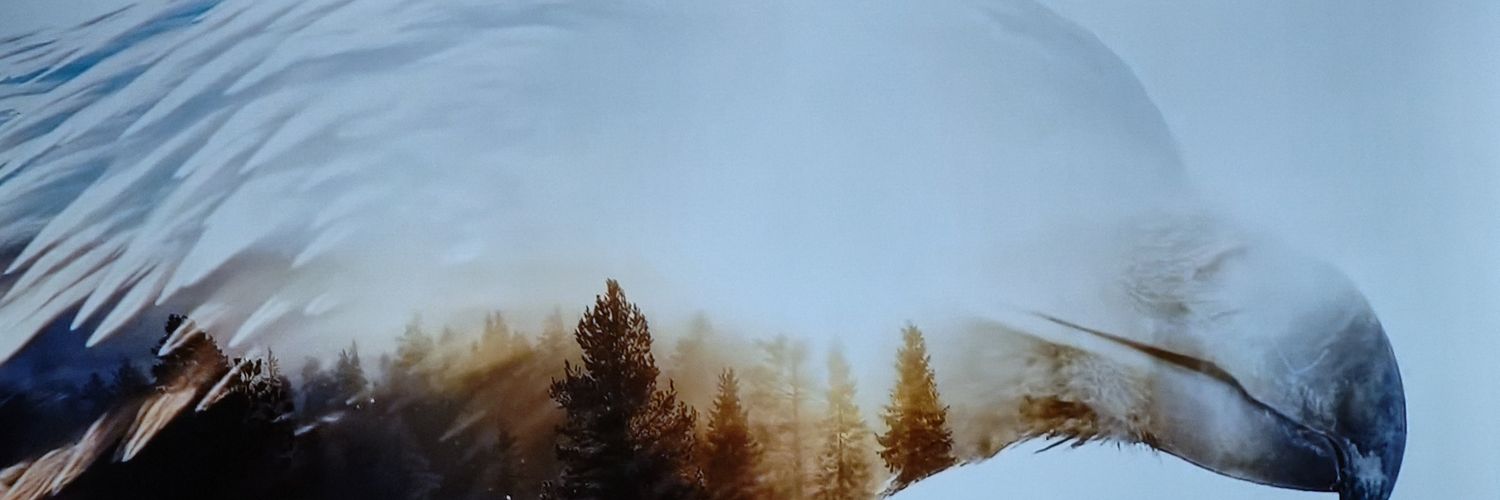 ℕ𝕠MaD 🇷🇸 banner