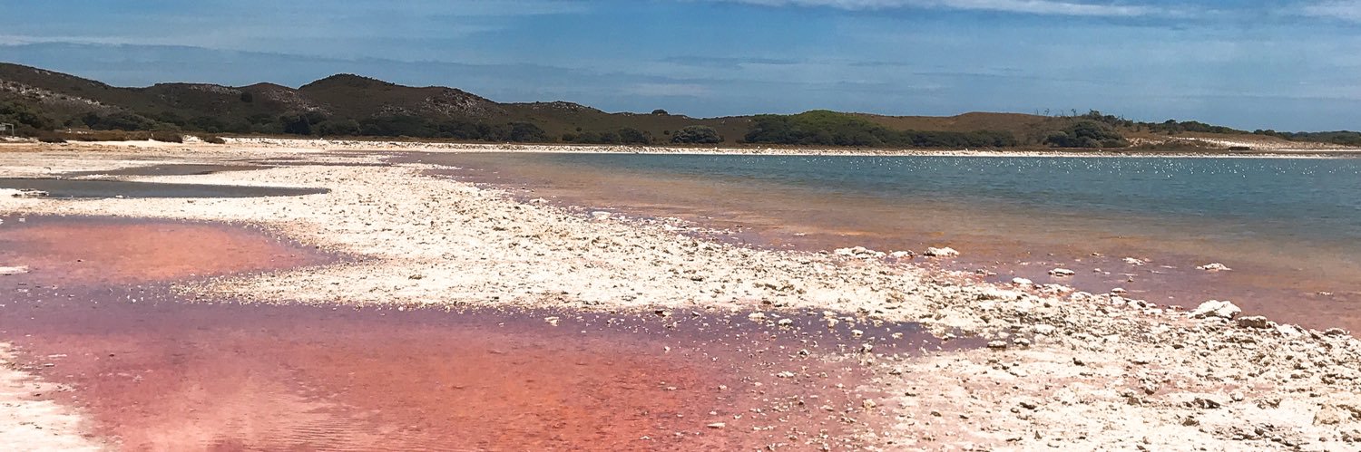 ☻さっちゃん☻ banner