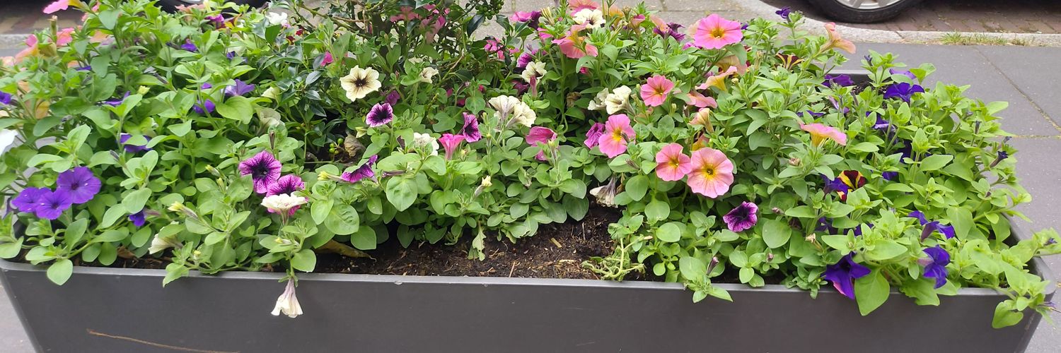 🇾🇪^André O delft 🇾🇪 banner