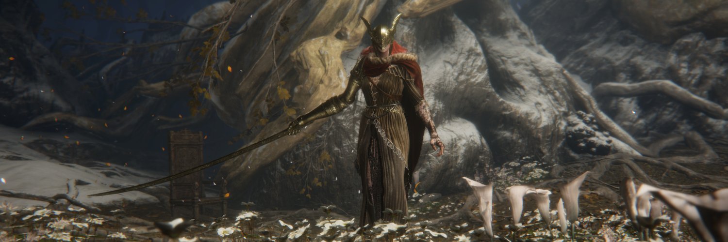 Hentoni's profile banner image