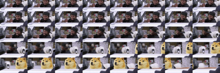 50Doge banner