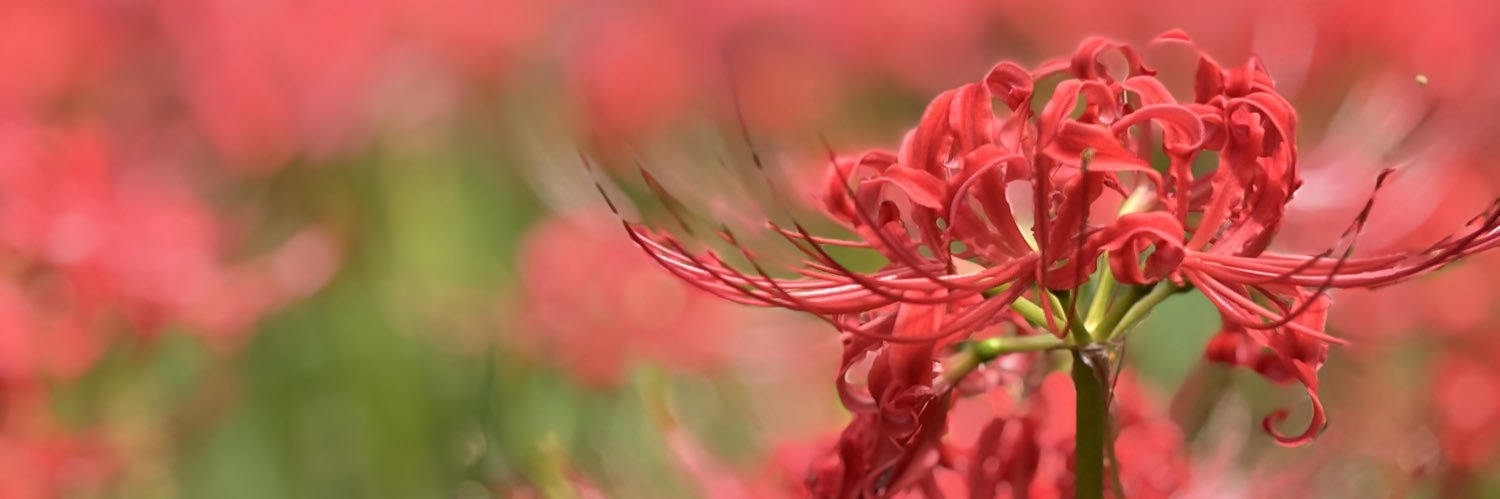 kbys_RB's profile banner image