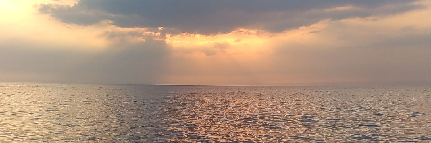 TomZet77's profile banner image