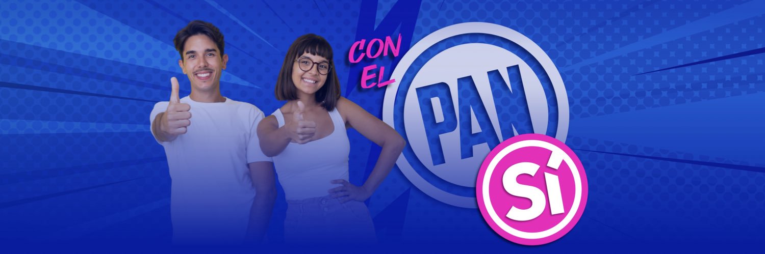 PAN Michoacán banner