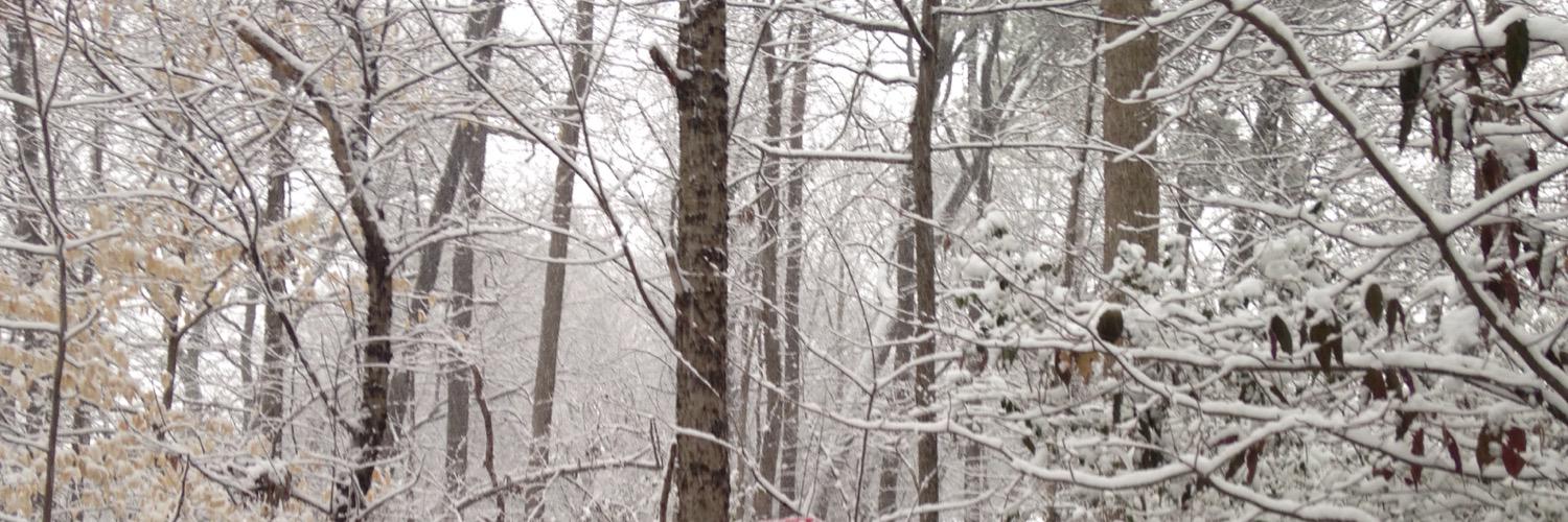 mjw524's profile banner image