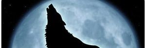 G_The_One's profile banner image