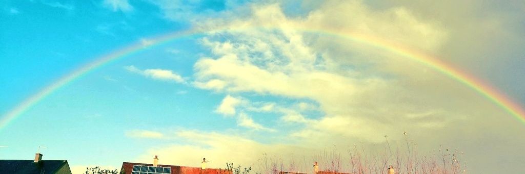 Caledonia Primary School & LCR banner