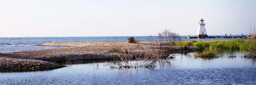 giselifreitas's profile banner image