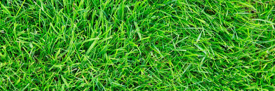 ja_der_eben's profile banner image