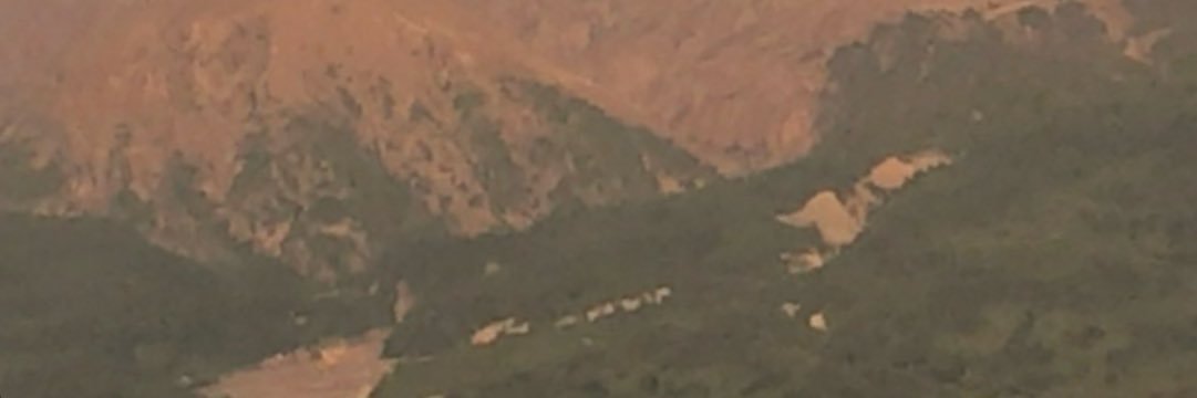 denebumongo's profile banner image