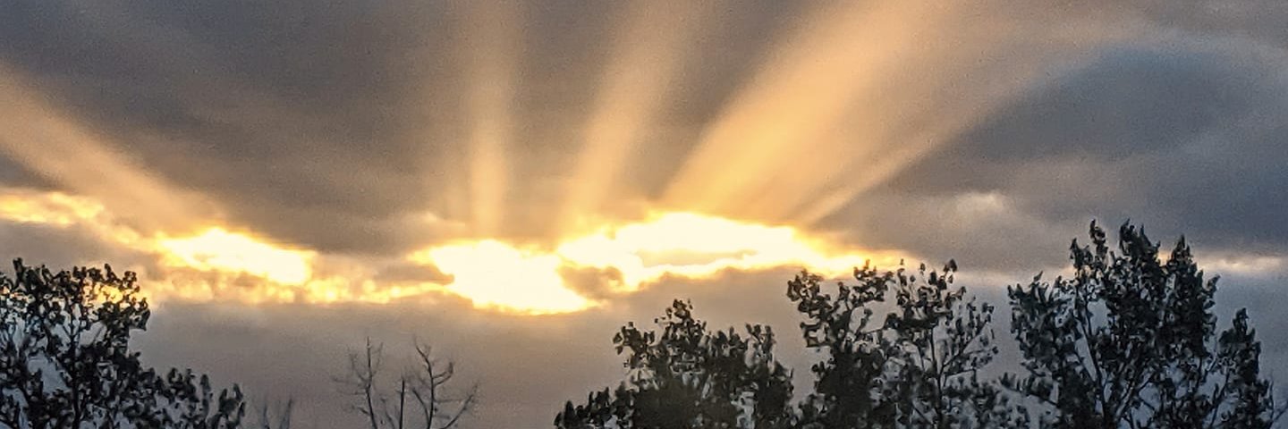 KathyChauppetta's profile banner image