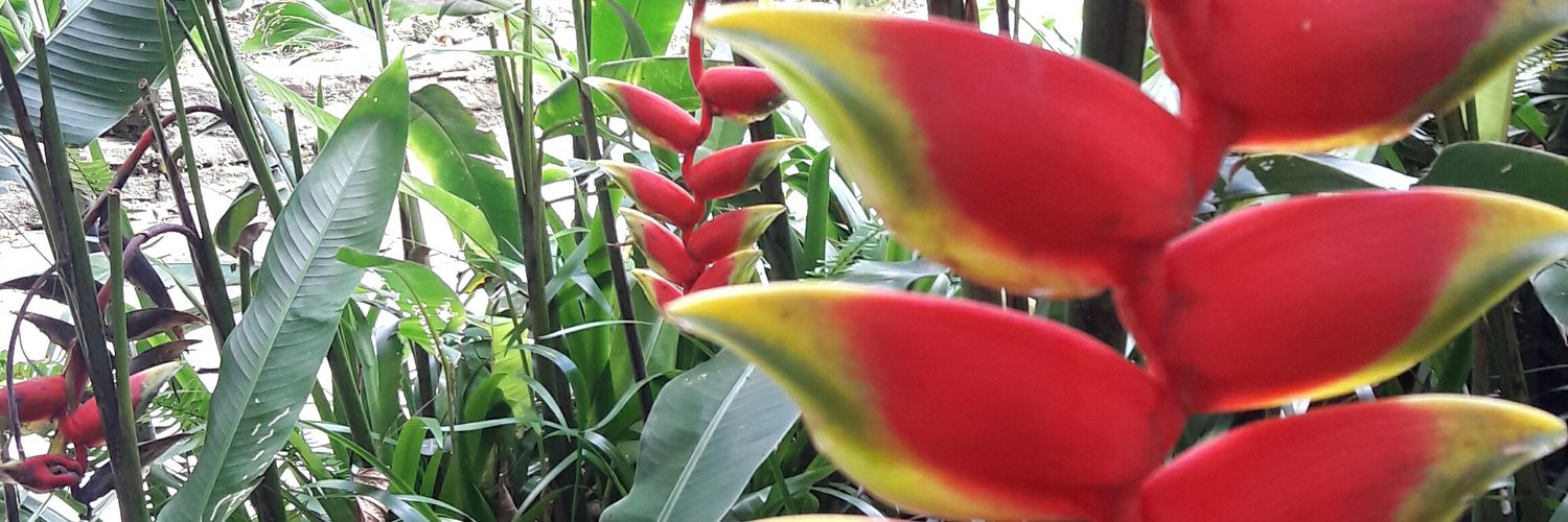 nathalig29's profile banner image