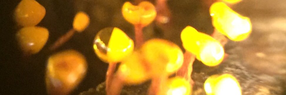 hell_666_hell's profile banner image