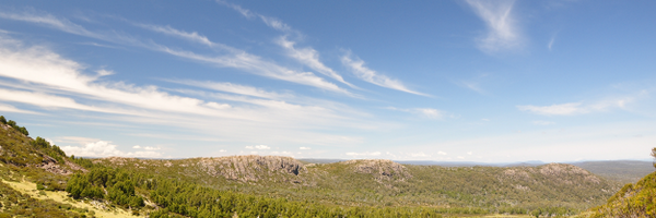 fergusonmichael Profile Banner