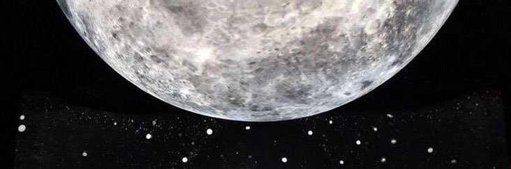 하니 banner