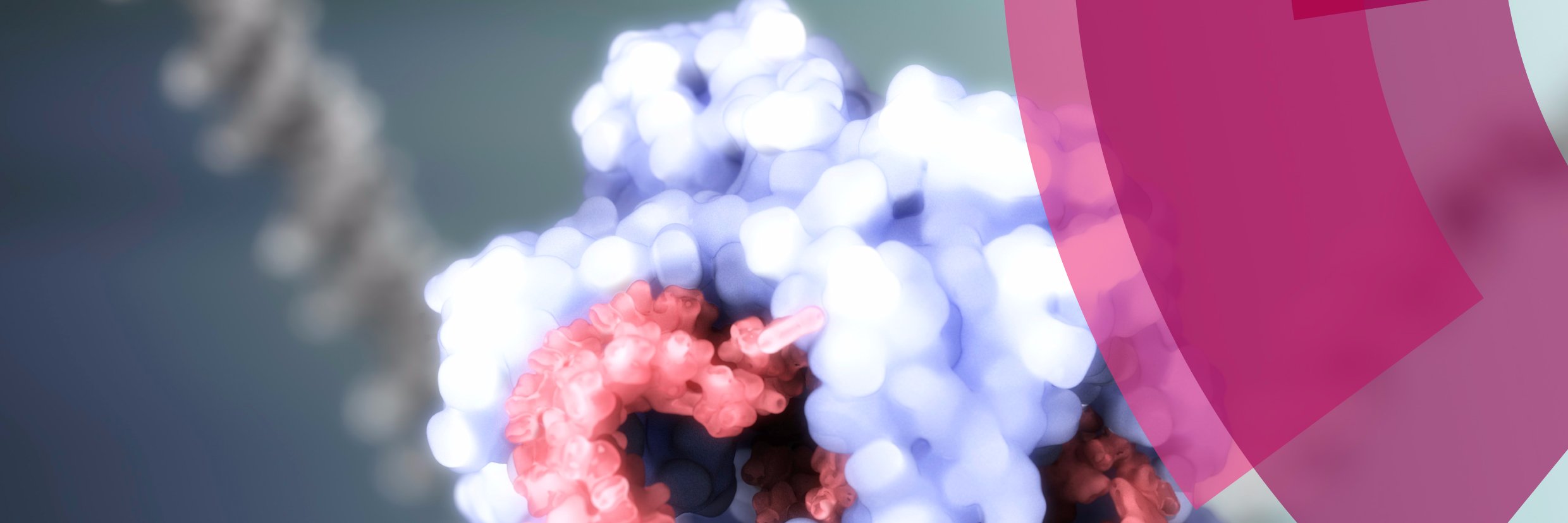 Molecular Omics's banner