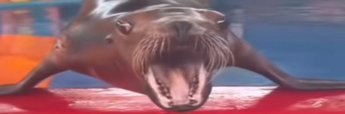 Ethan Word banner