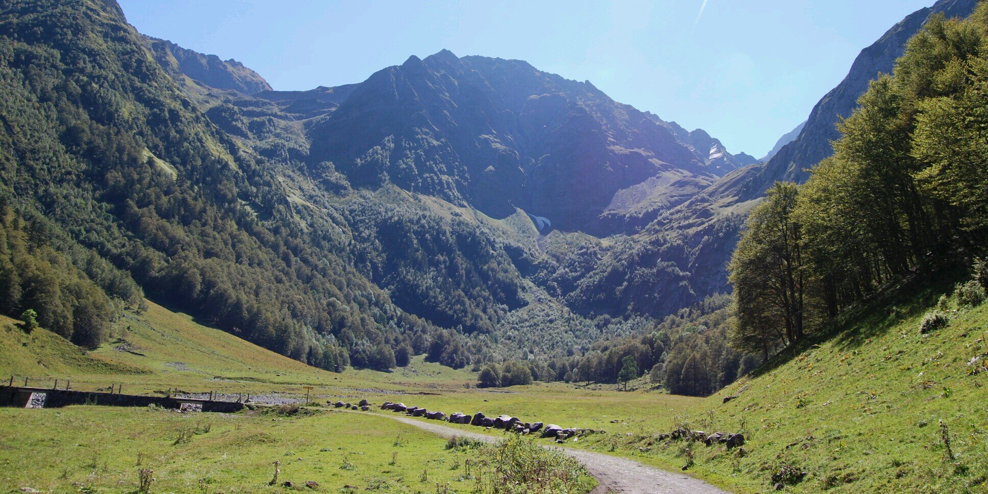 Cristina Ferrer banner