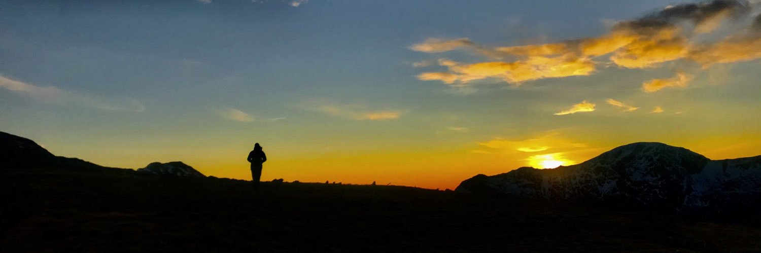 AllisonMNau's profile banner image