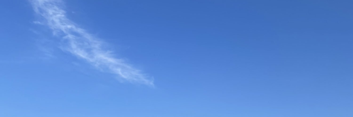 coginitech's profile banner image